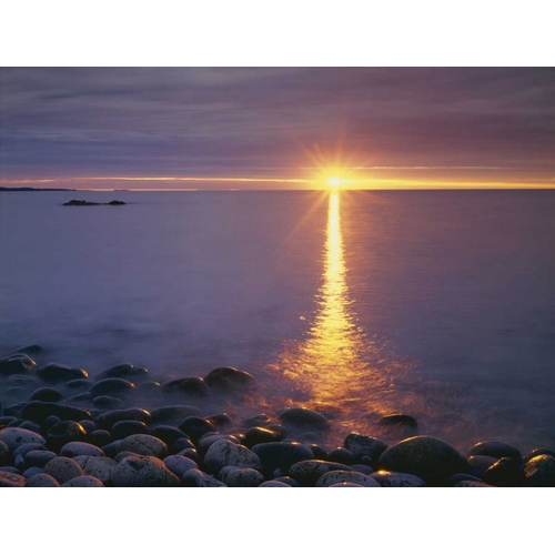 ME, Acadia NP,혻 Sunrise on fog and shore rocks